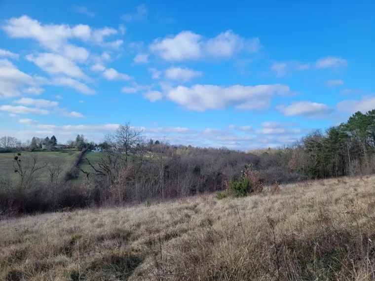 Terrain à bâtir