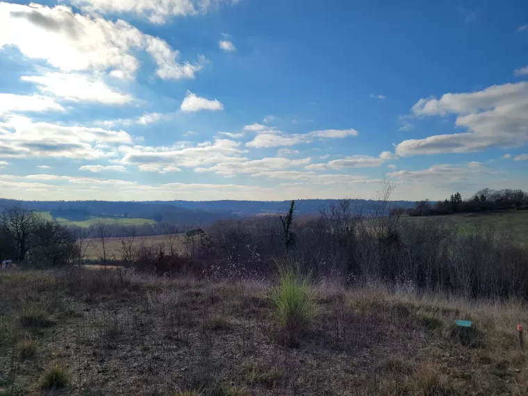 Terrain à bâtir