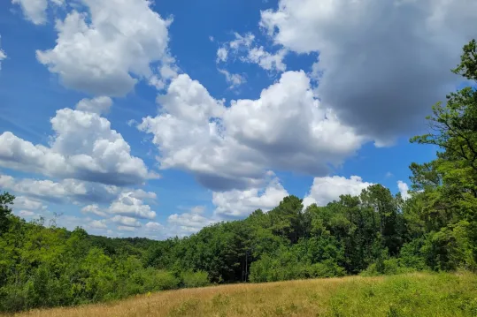 Terrain à bâtir