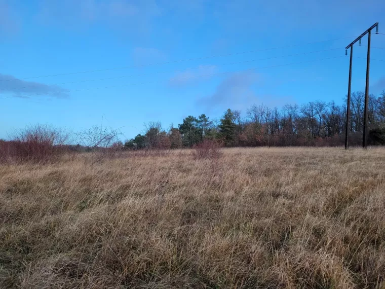 Terrain à bâtir