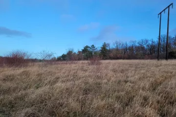 Terrain à bâtir