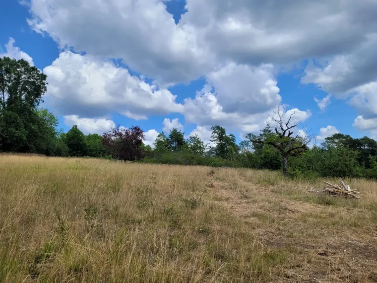 Terrain à bâtir