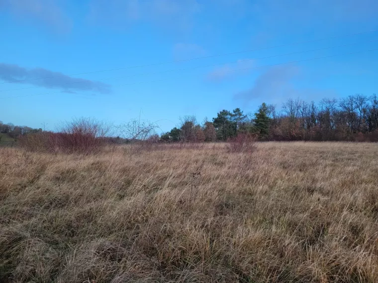 Terrain à bâtir