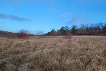 Terrain à bâtir