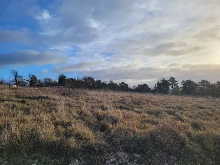 Terrain à bâtir