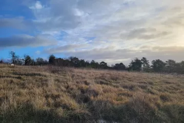 Terrain à bâtir