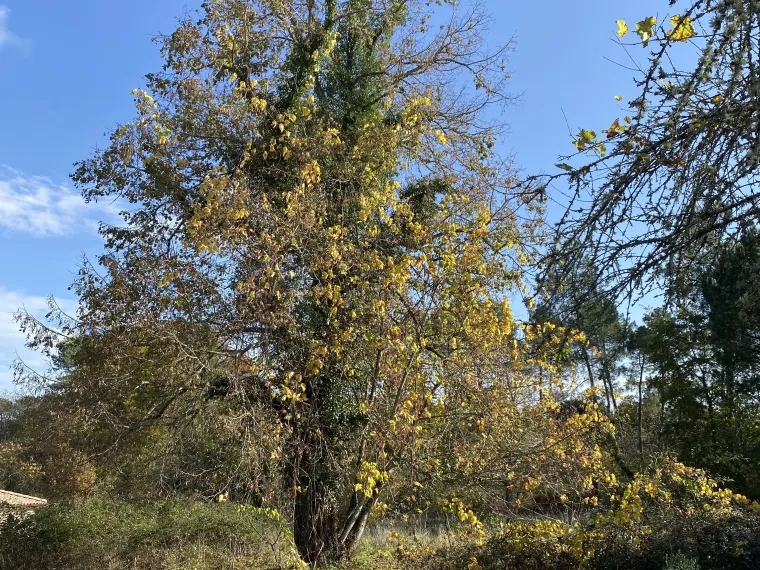 Fermette à restaurer 30 min Périgueux