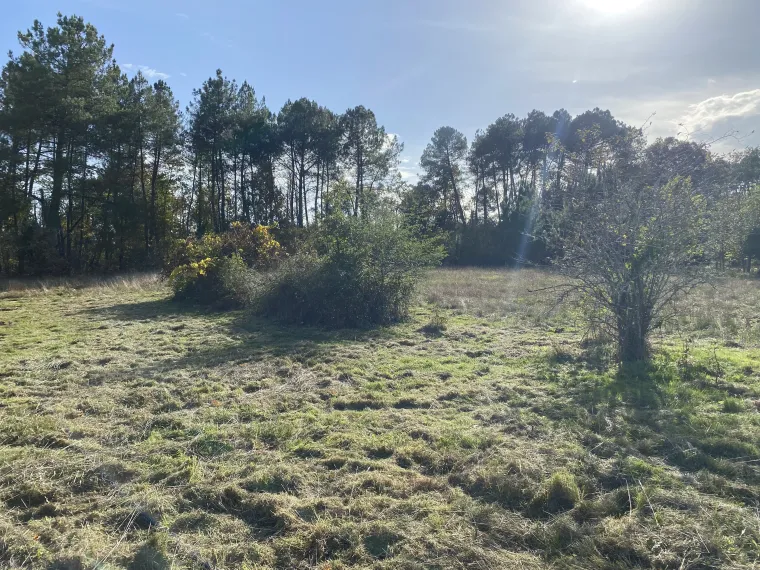 Fermette à restaurer 30 min Périgueux